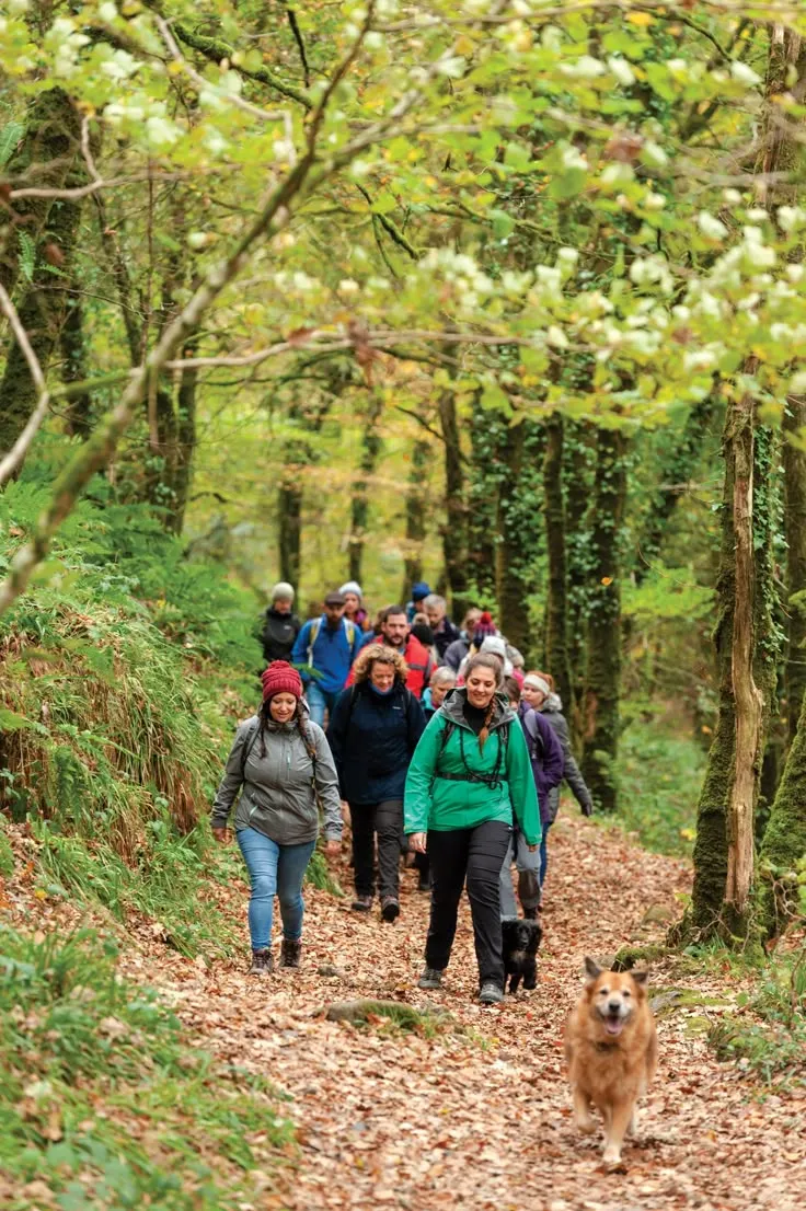 Walking group gathered at a trailhead
